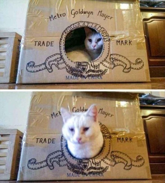Metro Goldwyn Mayer TRADE MADE IN CHINA MARK Goldw Met Mayer MARK TRADE MADE IN CHINA