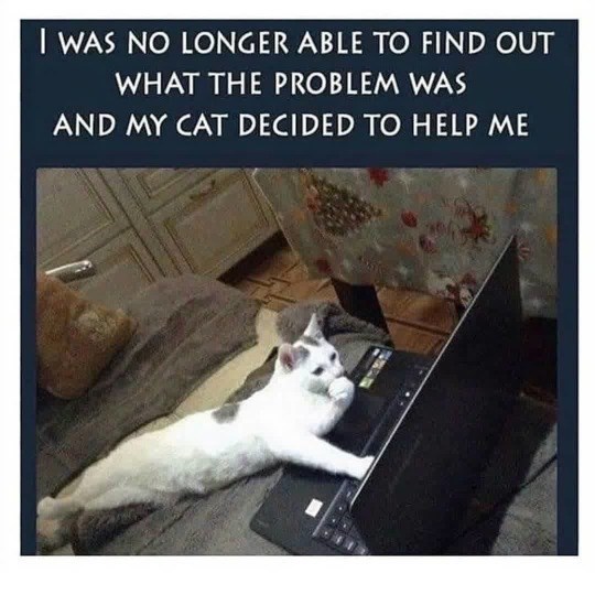 I WAS NO LONGER ABLE TO FIND OUT WHAT THE PROBLEM WAS AND MY CAT DECIDED TO HELP ME
