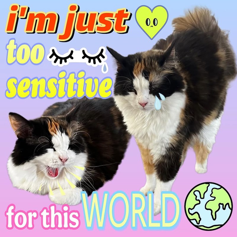 i'm just too sensitive 0.0 for this WORLD