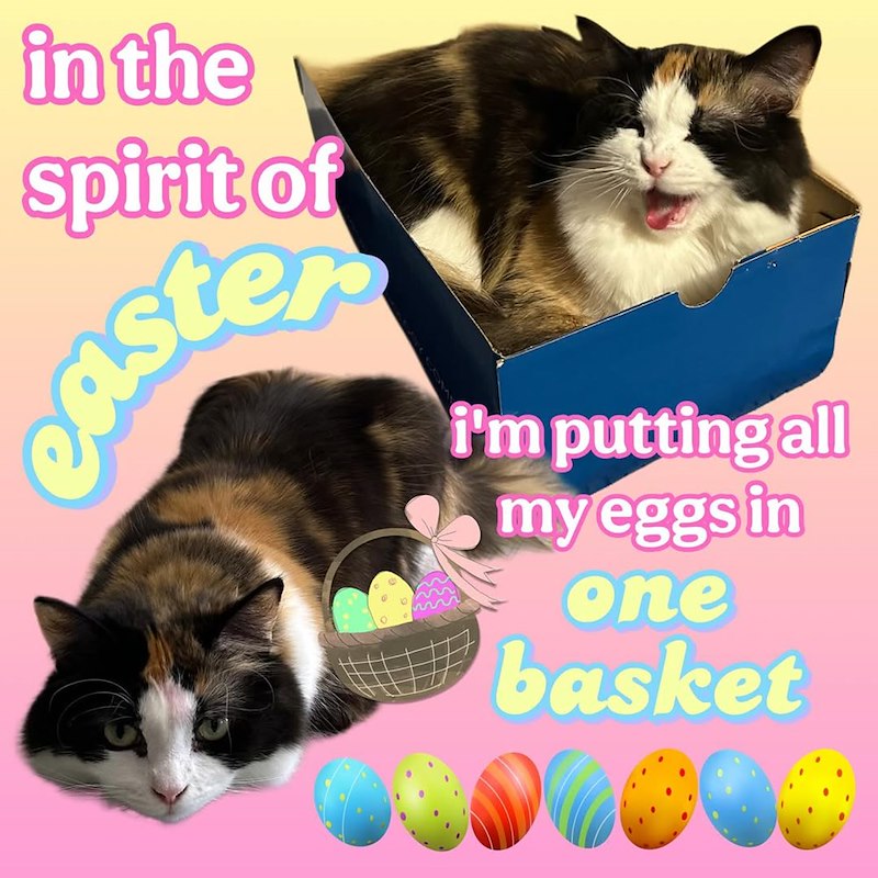 in the spirit of easter m i'm putting all my eggs in one basket