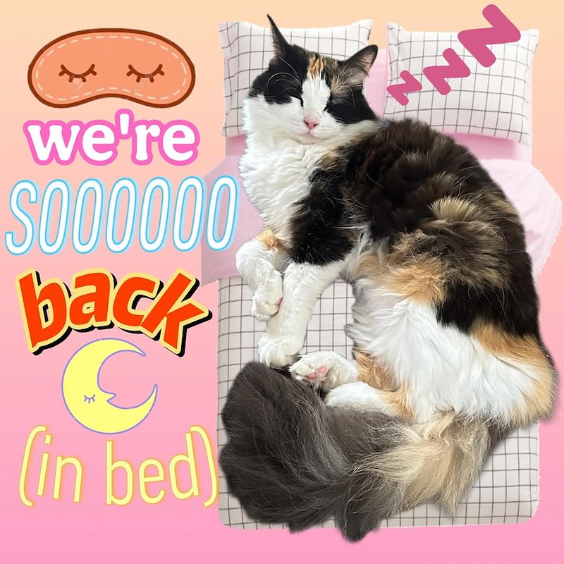 N we're S000000 back (in bed)