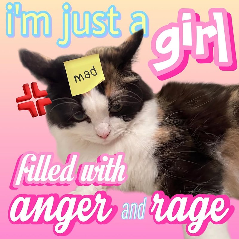 i'm just girl + mad Filled with anger and rage