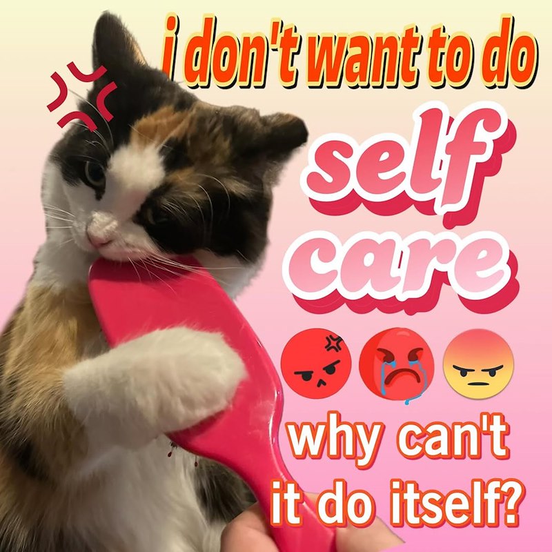 i don't want to do self care why can't it do itself?