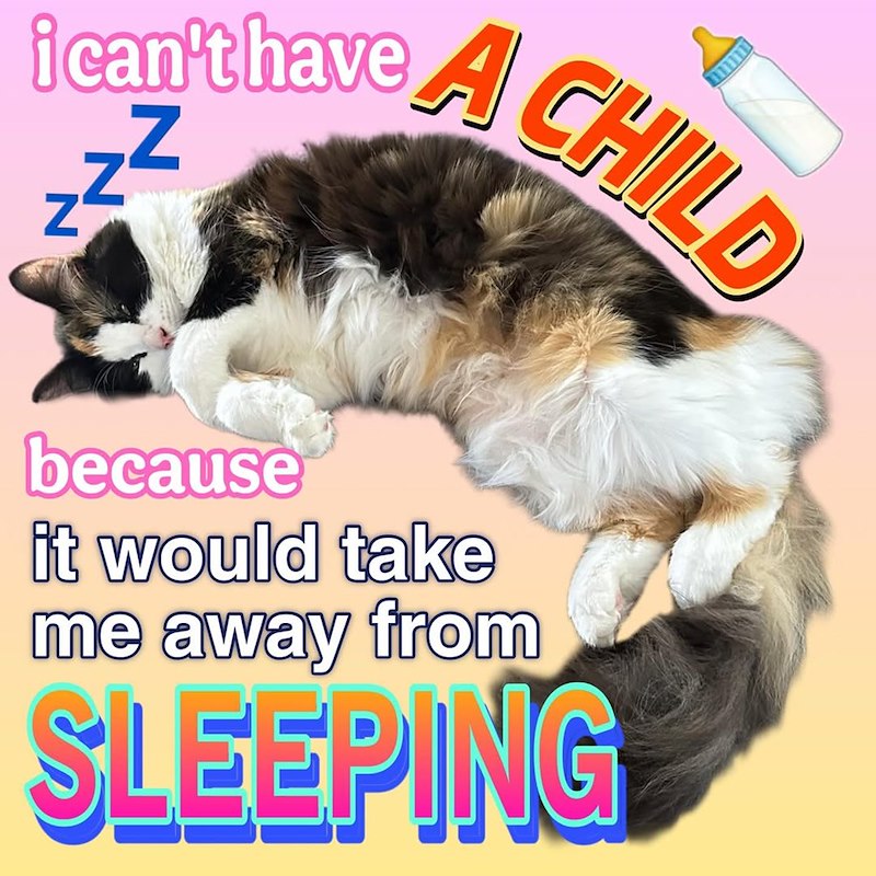 111111 fcan't have A CHILD Z' N z because it would take me away from SLEEPING