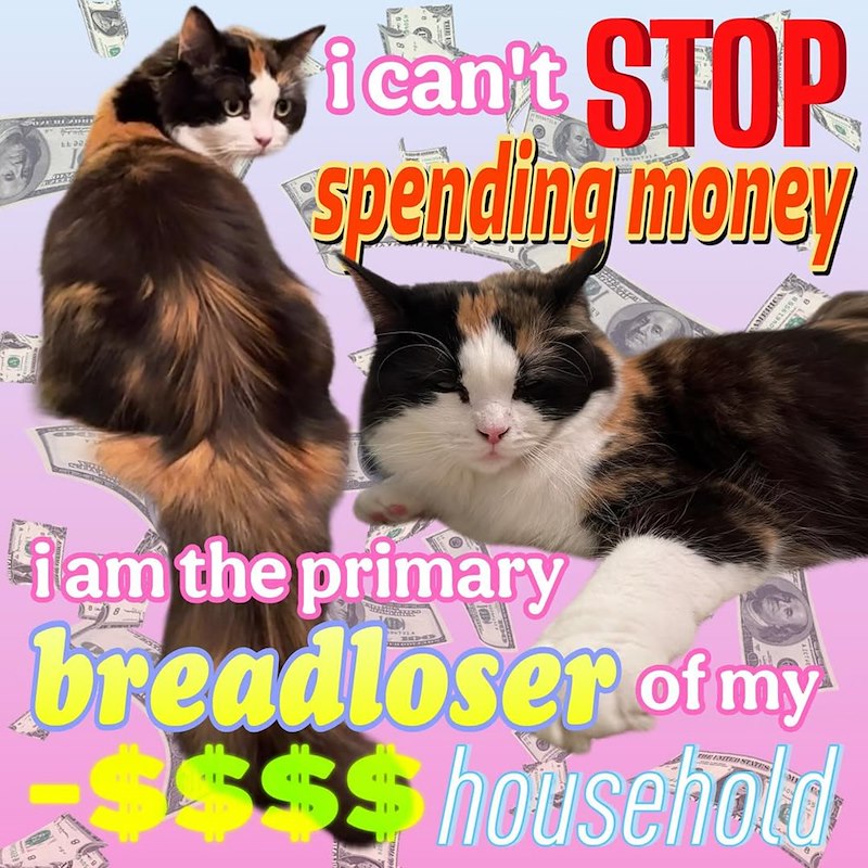 i can't STOP spending money AMERICA 155619 iam the primary breadloser of my $$$$ household 8