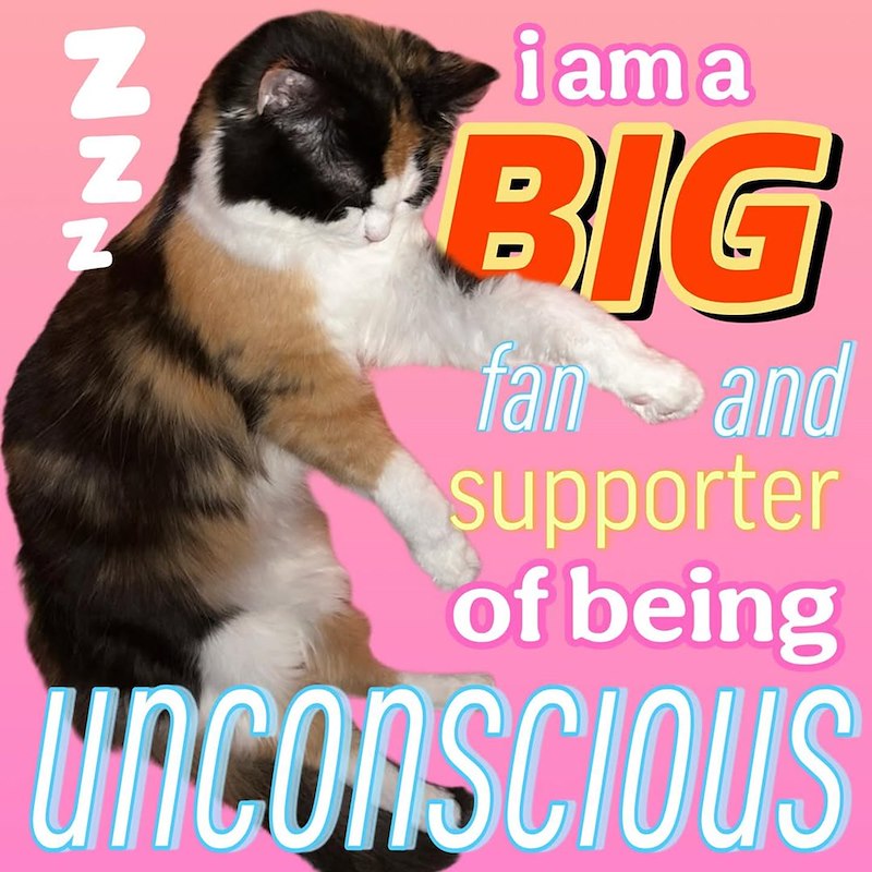 NNN iama BIG fan and supporter of being unconscious