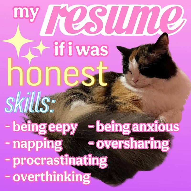 my resume if i was honest skills: -being eepy -being anxious -napping -oversharing - procrastinating - overthinking