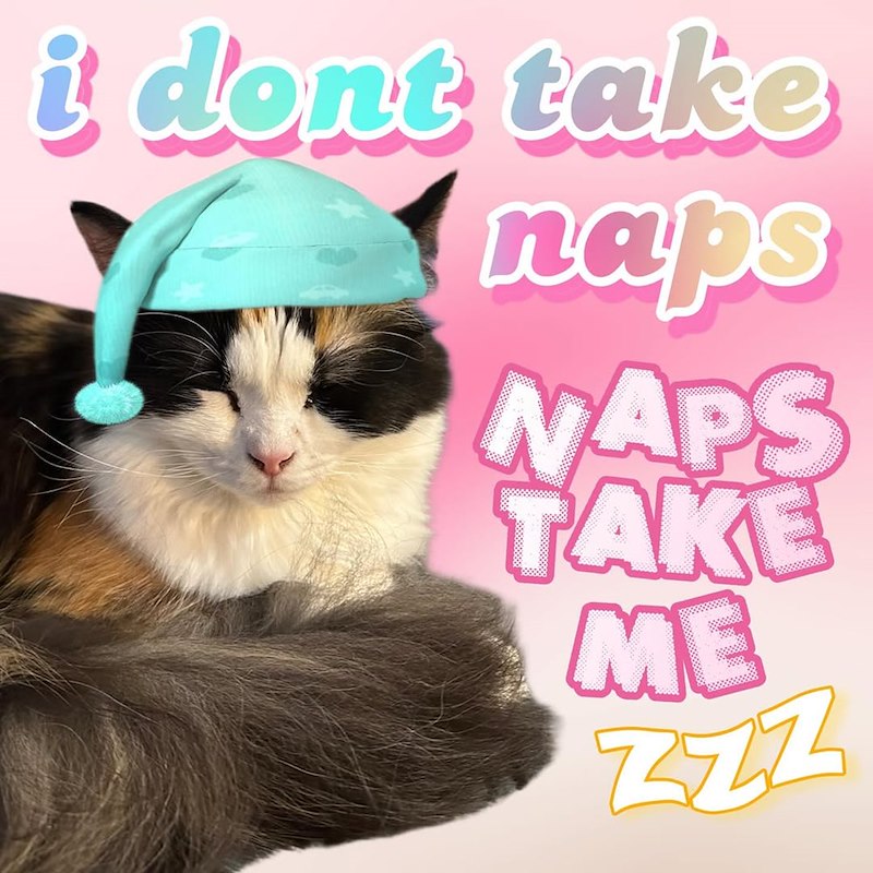 i dont take naps NAPS TAKE ME ZZZ