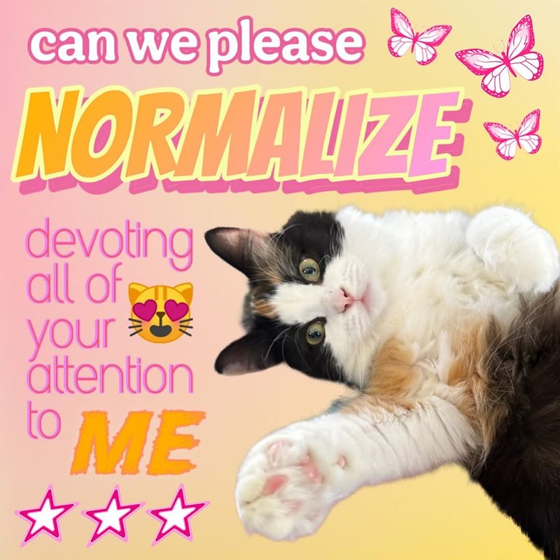 can we please. NORMALIZE devoting all of your attention to ME B