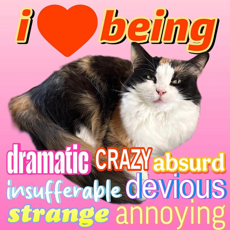 i' ❤being dramatic CRAZY absurd insufferable devious strange annoying