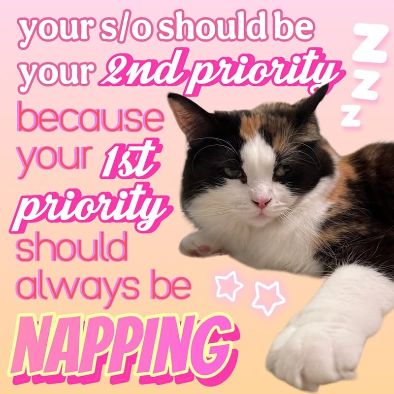 your s/o should be your 2nd priority because your 1st priority should always be NAPPING Z