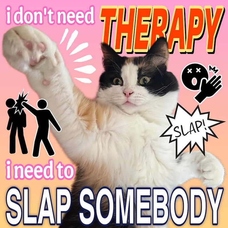 i don't need THERAPY XX SLAP! i need to SLAP SOMEBODY