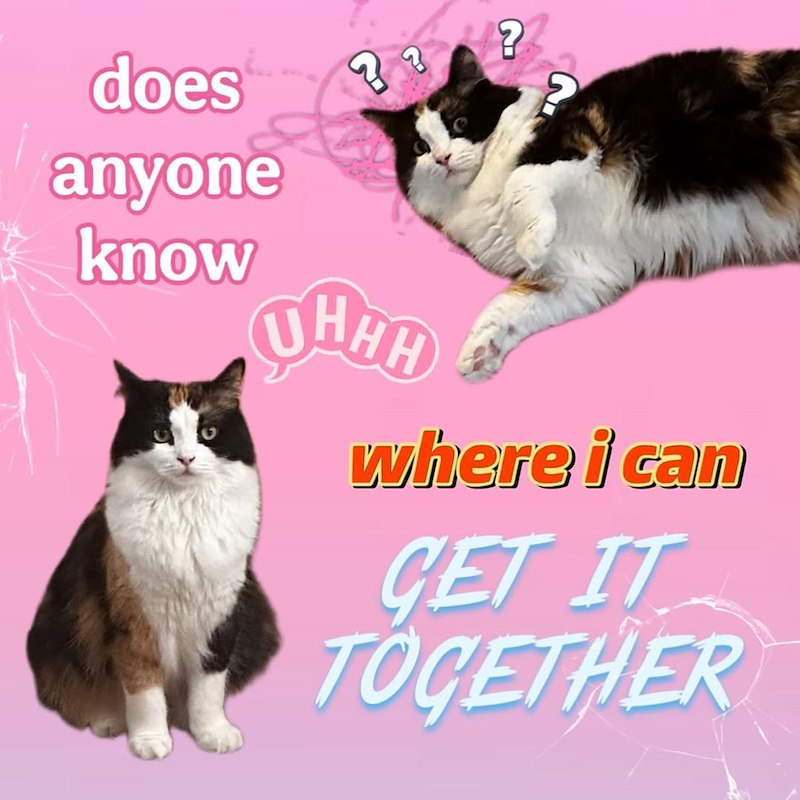 does ? ? anyone 2 know UHHH where i can GET IT TOGETHER