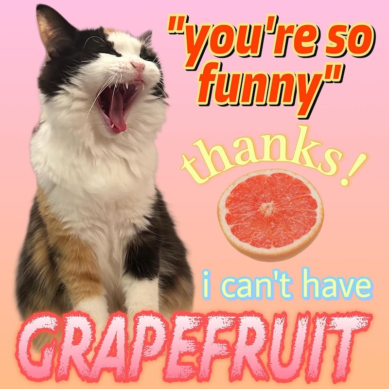"you're so "funny" thanks! i can't have GRAPEFRUIT