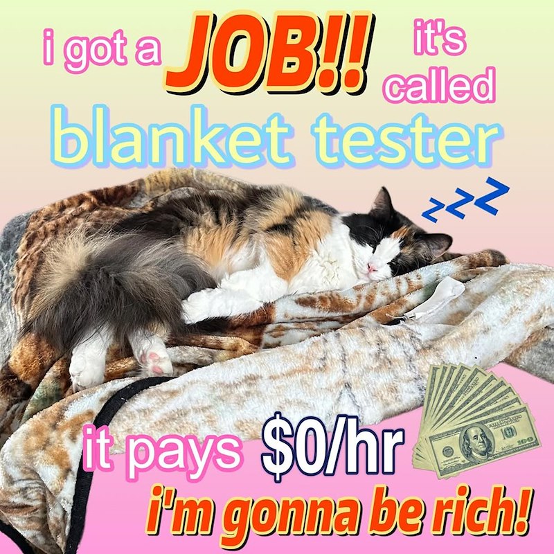 it's called i got a JOB!! blanket tester >>> May100 it pays $0/hr i'm gonna be rich!