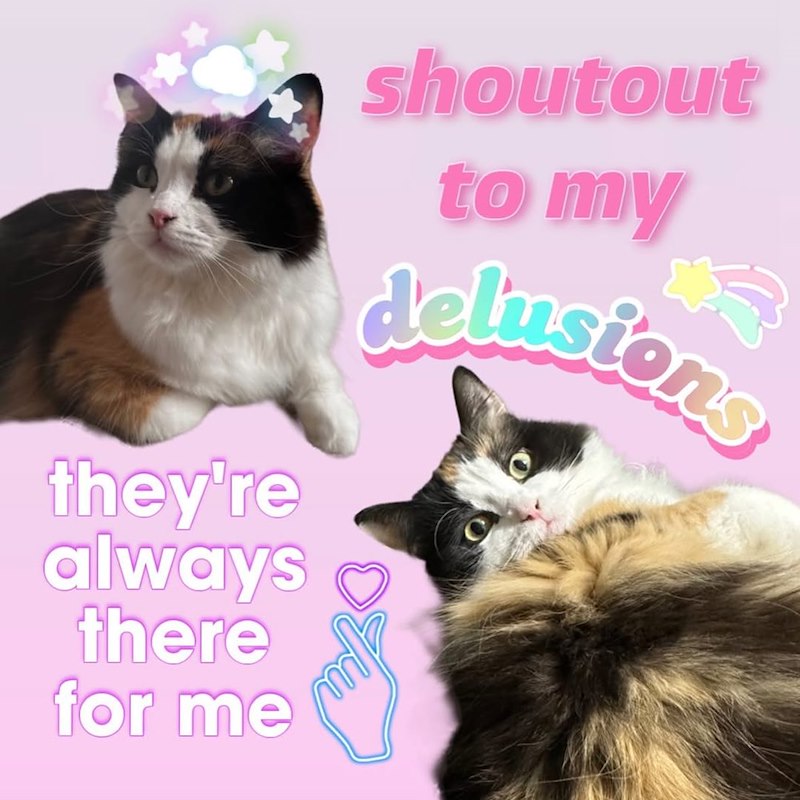 they're always there for me shoutout to my delusions