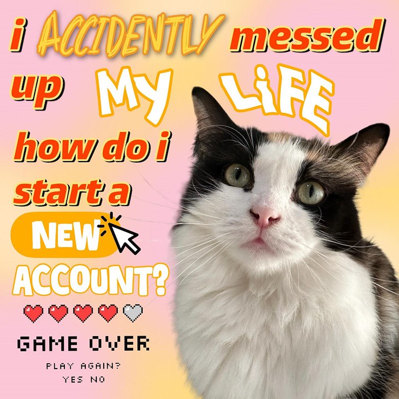 ¡ ACCIDENTLY messed up My LiFE how do i start a NEW ACCOUNT? GAME OVER PLAY AGAIN? YES NO