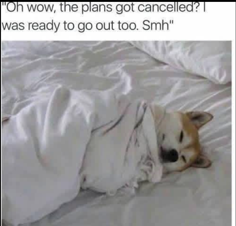 "Oh wow, the plans got cancelled? I was ready to go out too. Smh"