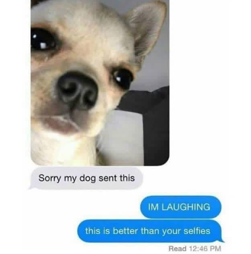 Sorry my dog sent this IM LAUGHING this is better than your selfies Read 12:46 PM