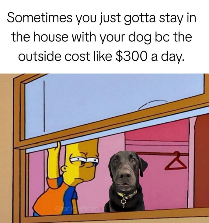 Sometimes you just gotta stay in the house with your dog bc the outside cost like $300 a day. @ankebrow