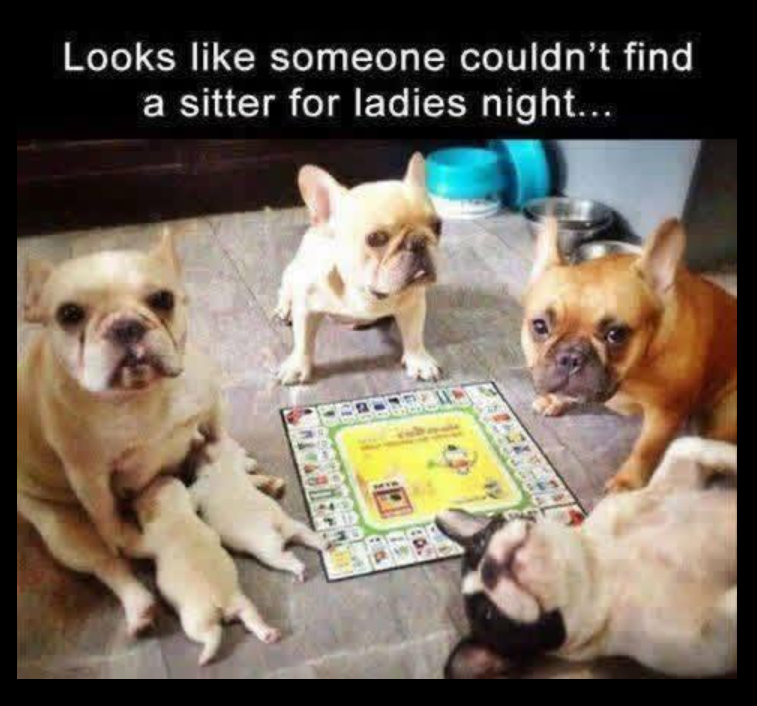 Looks like someone couldn't find a sitter for ladies night...