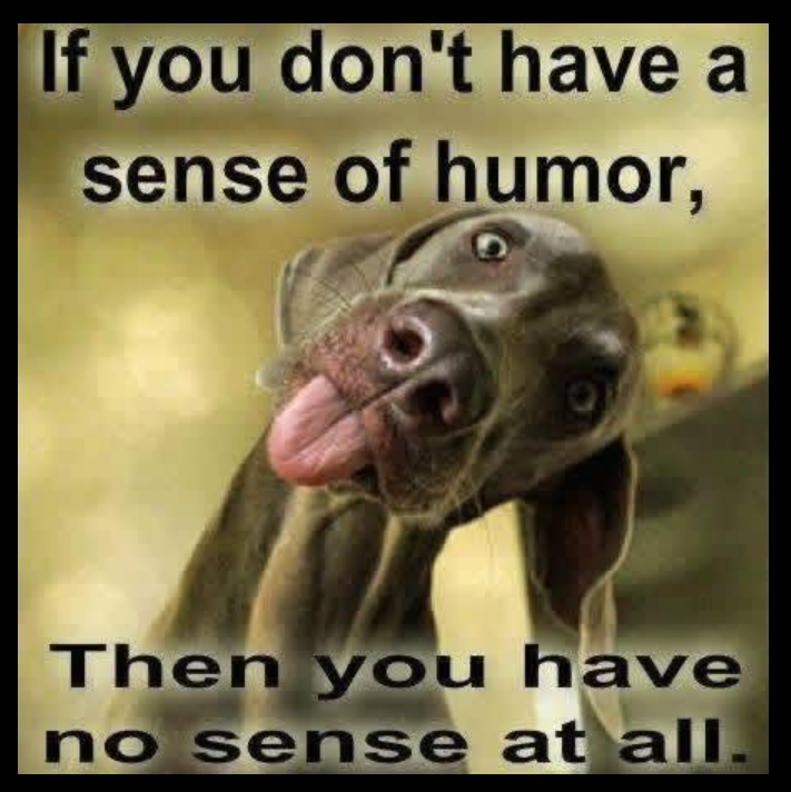 If you don't have a sense of humor, Then you have no sense at all.