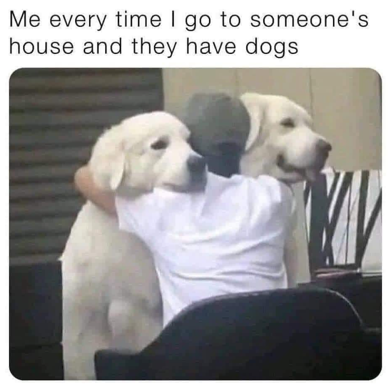 Me every time I go to someone's house and they have dogs.