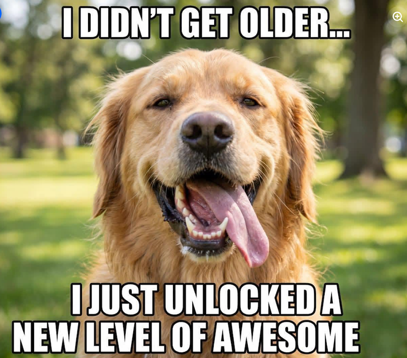 I DIDN'T GET OLDER... I JUST UNLOCKED A NEW LEVEL OF AWESOME