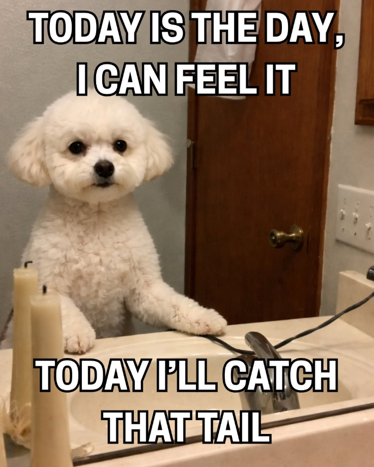 TODAY IS THE DAY, I CAN FEEL IT TODAY I'LL CATCH THAT TAIL