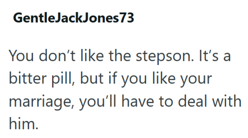 GentleJackJones73 You don't like the stepson. It's a bitter pill, but if you like your marriage, you'll have to deal with him.