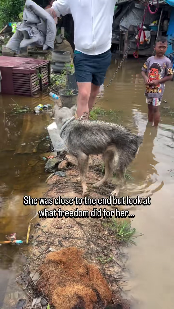 She was close to the end but look at what freedom did for her... PPHO A