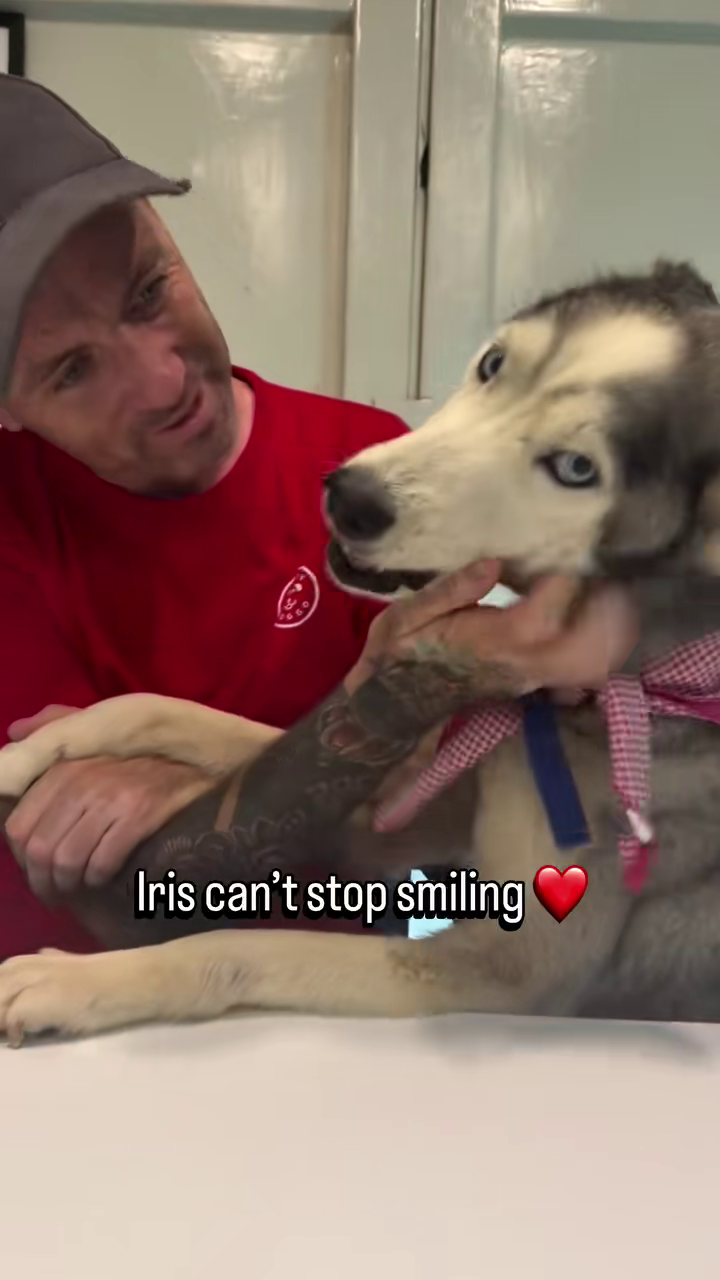 Iris can't stop smiling