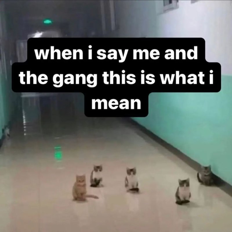 when i say me and the gang this is what i mean 108
