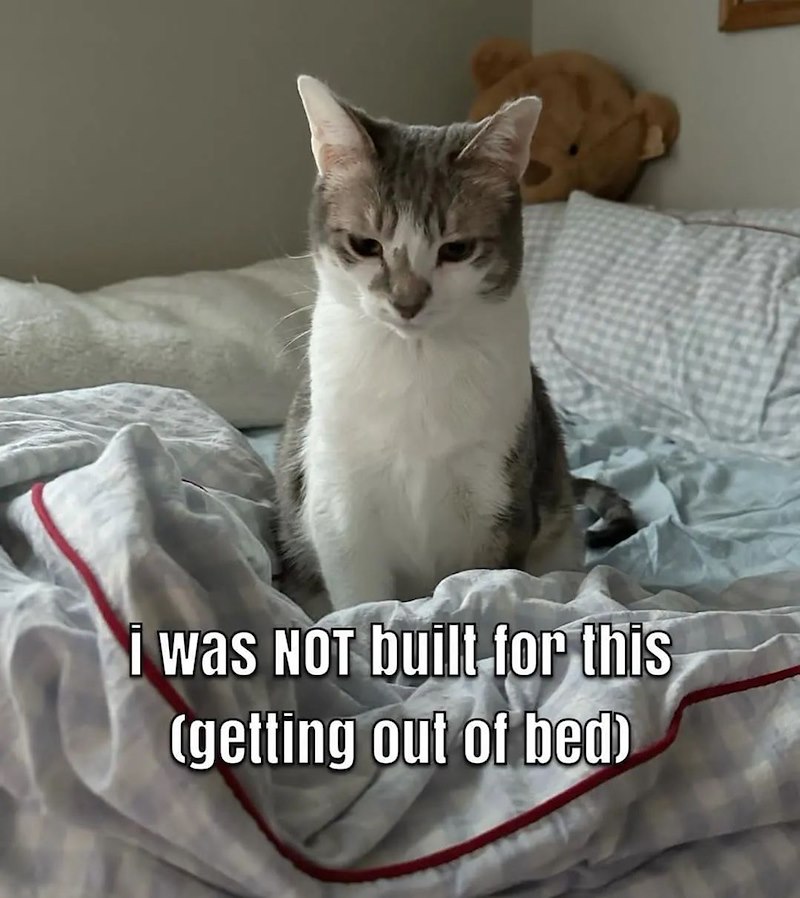 i was NOT built for this (getting out of bed)