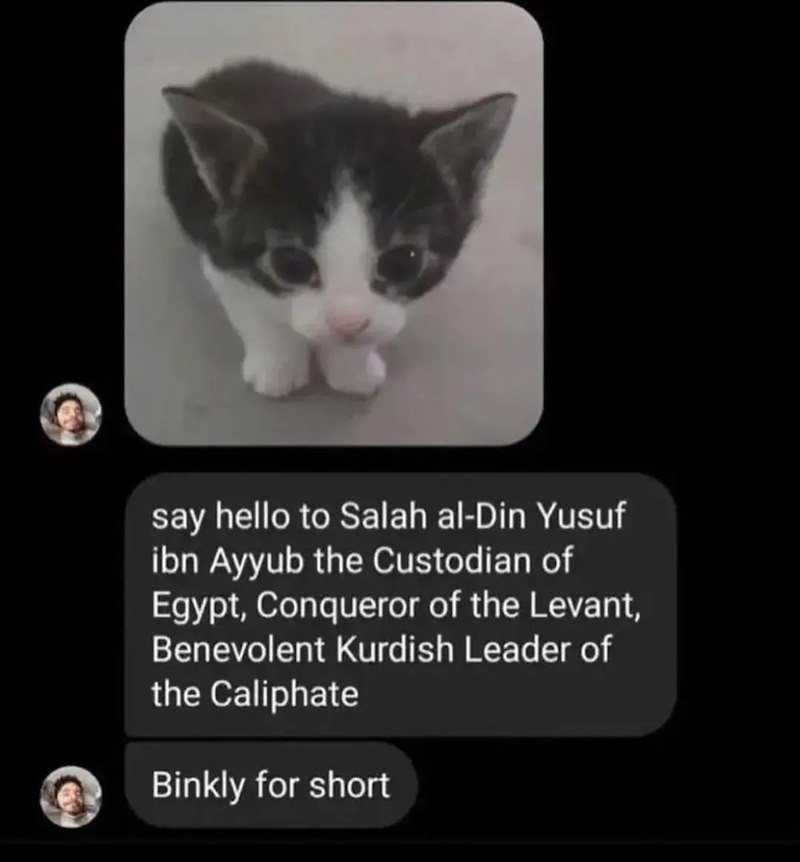 say hello to Salah al-Din Yusuf ibn Ayyub the Custodian of Egypt, Conqueror of the Levant, Benevolent Kurdish Leader of the Caliphate Binkly for short