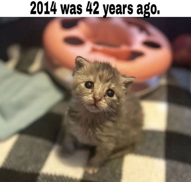 2014 was 42 years ago.