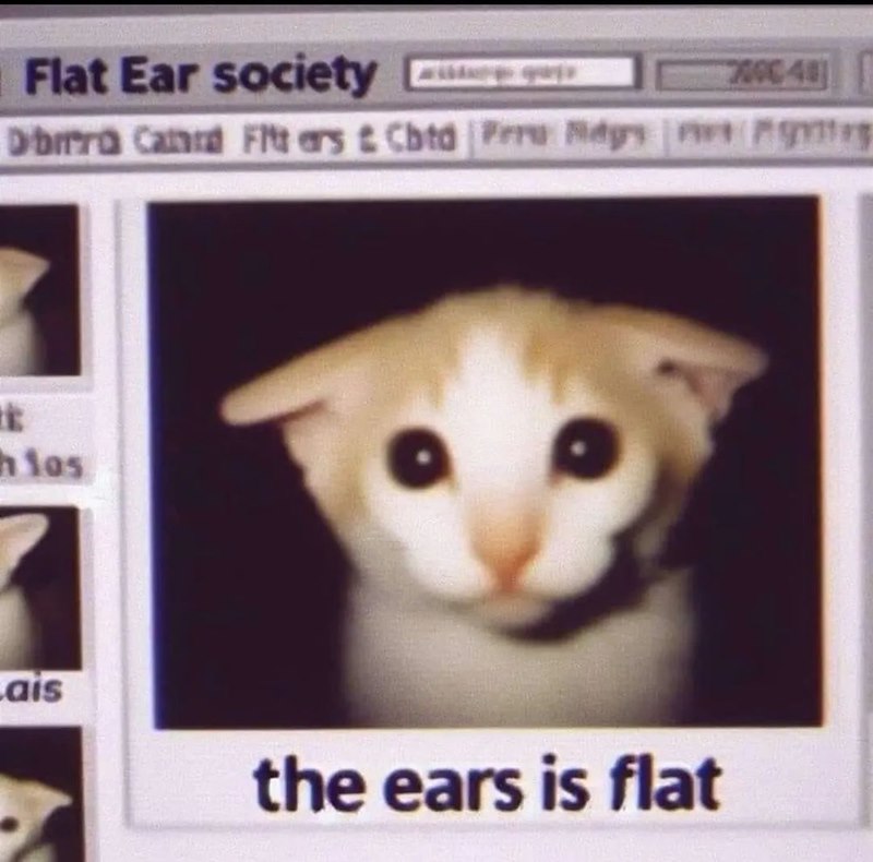 Flat Ear society 2000-48 Dibra Card Fitters & Cbtd Peru Ridgs g E hlos Lais the ears is flat