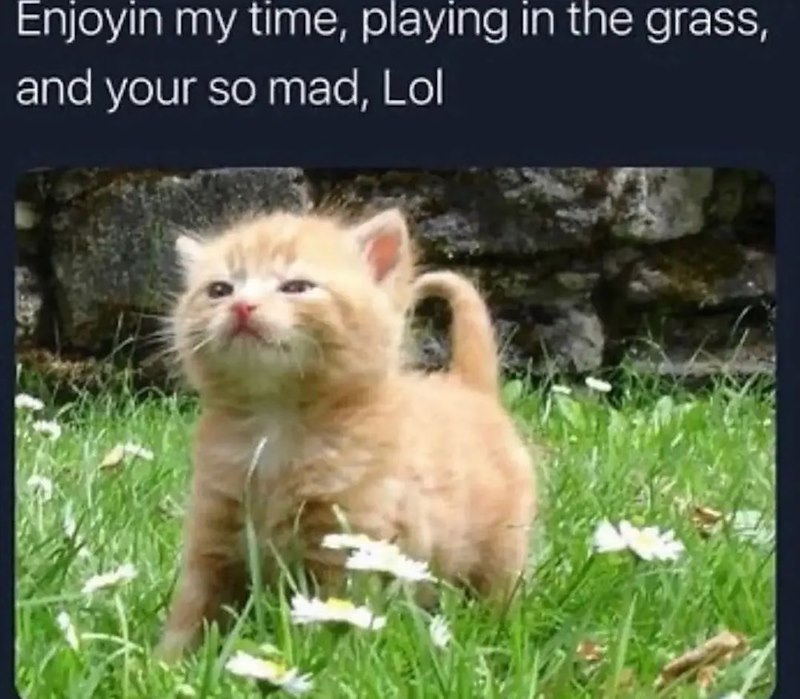 Enjoyin my time, playing in the grass, and your so mad, Lol