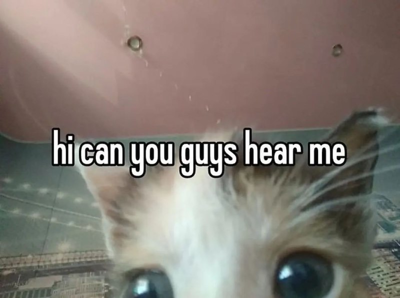 hi can you guys hear me