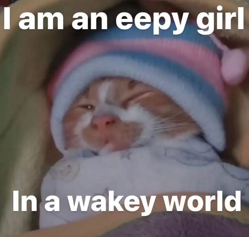 I am an eepy girl In a wakey world