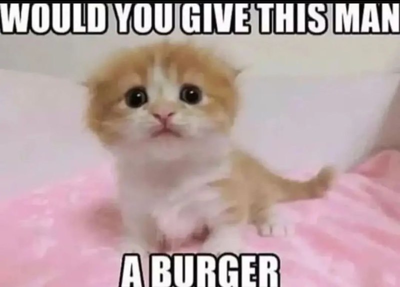 WOULD YOU GIVE THIS MAN A BURGER