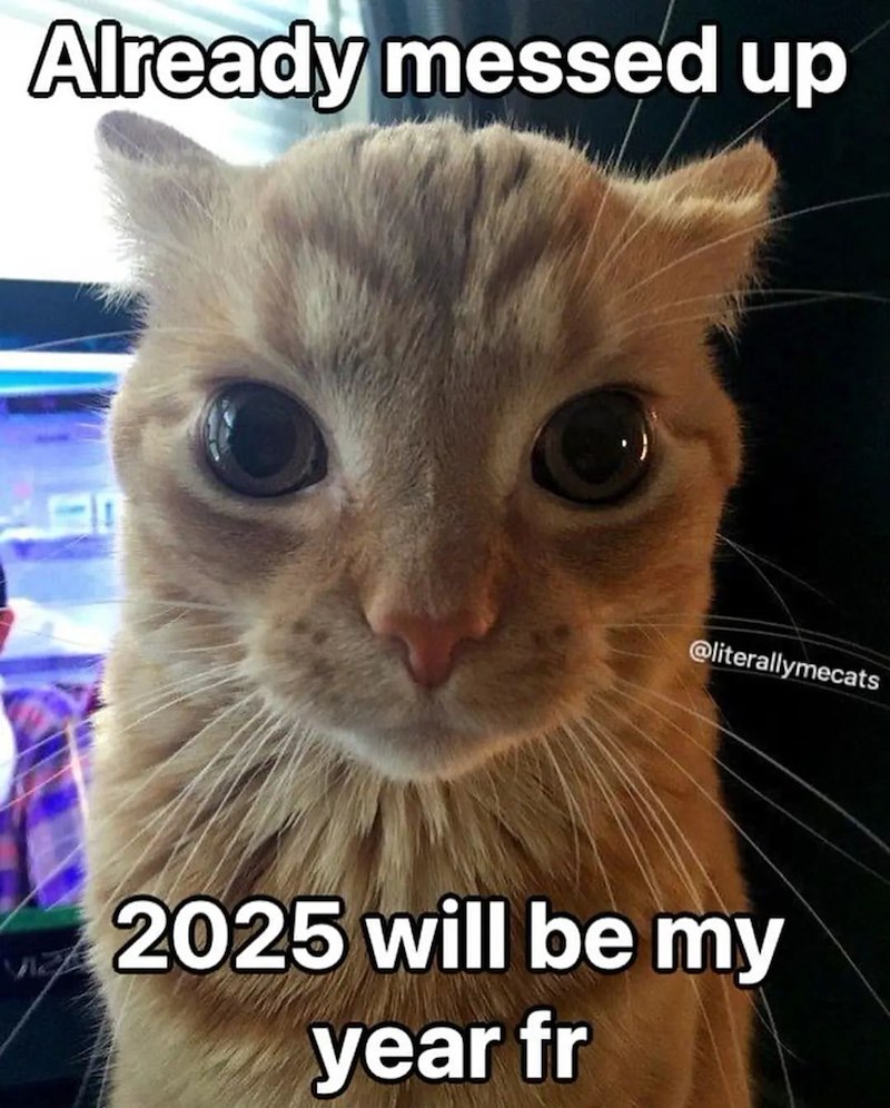 Already messed up @literallymecats 2025 will be my year fr