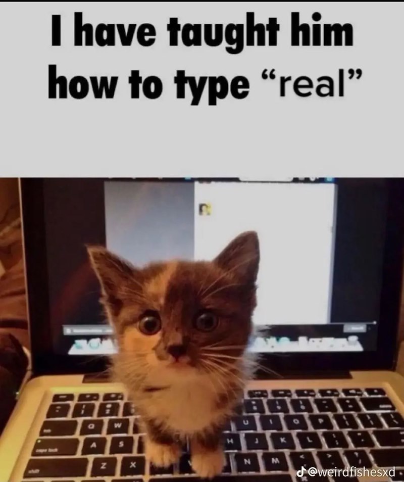 I have taught him how to type “real” a W Z x H BERECA BBBBBC J A N M @weirdfishesxd