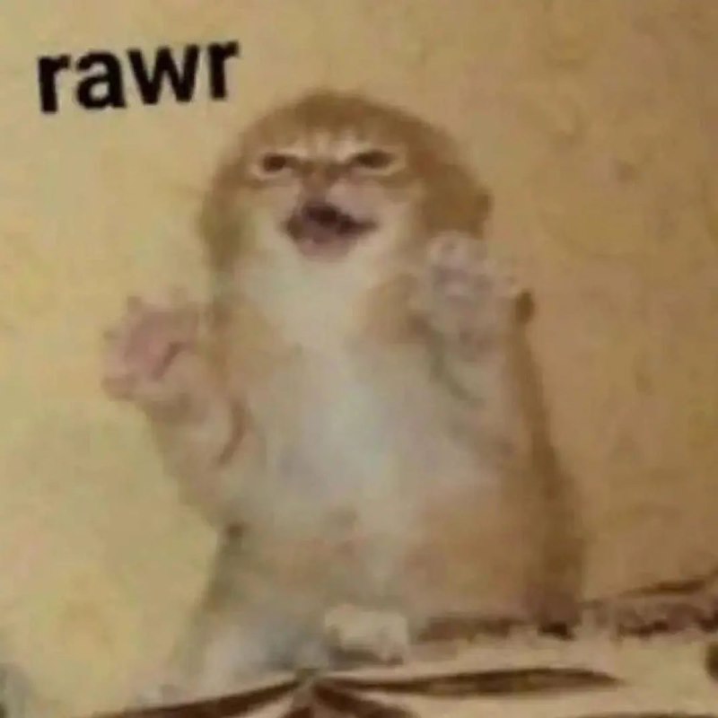 rawr