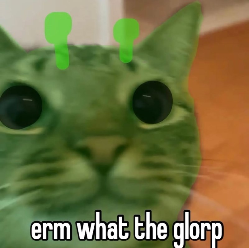 erm what the glorp