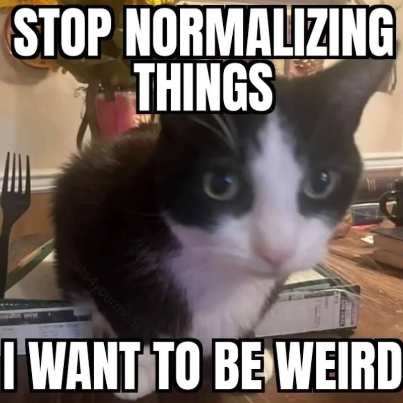 STOP NORMALIZING THINGS cats4yourmom I WANT TO BE WEIRD
