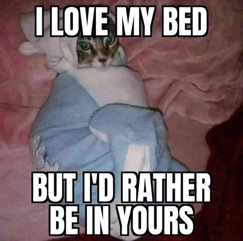 I LOVE MY BED BUT I'D RATHER BE IN YOURS