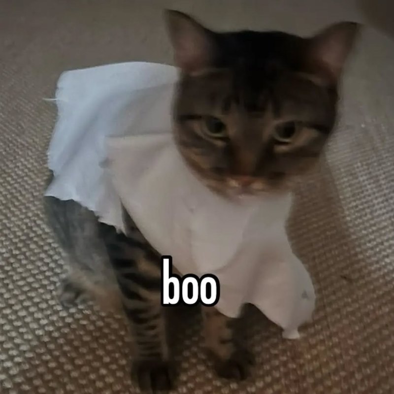 boo