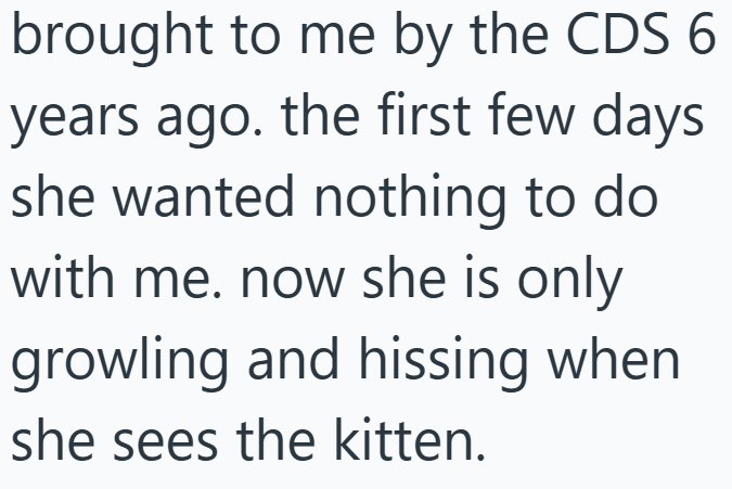 brought to me by the CDS 6 years ago. the first few days she wanted nothing to do with me. now she is only growling and hissing when she sees the kitten.