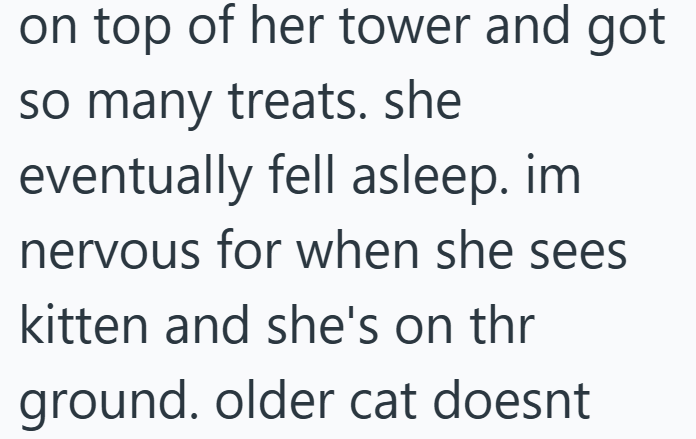on top of her tower and got so many treats. she eventually fell asleep. im nervous for when she sees kitten and she's on thr ground. older cat doesnt